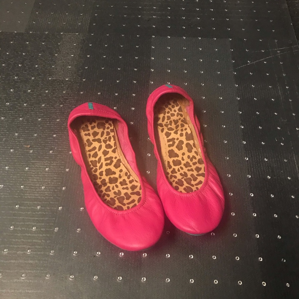 Tieks-Gently worn with matching dye